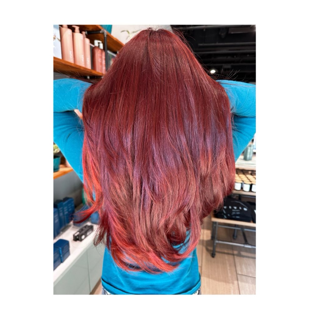All Over Color at Bass & Beauty in Ellicott, MD