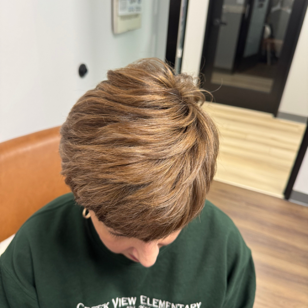 Partial Highlight, Haircut and B... at Divine Hairology in College Station, TX