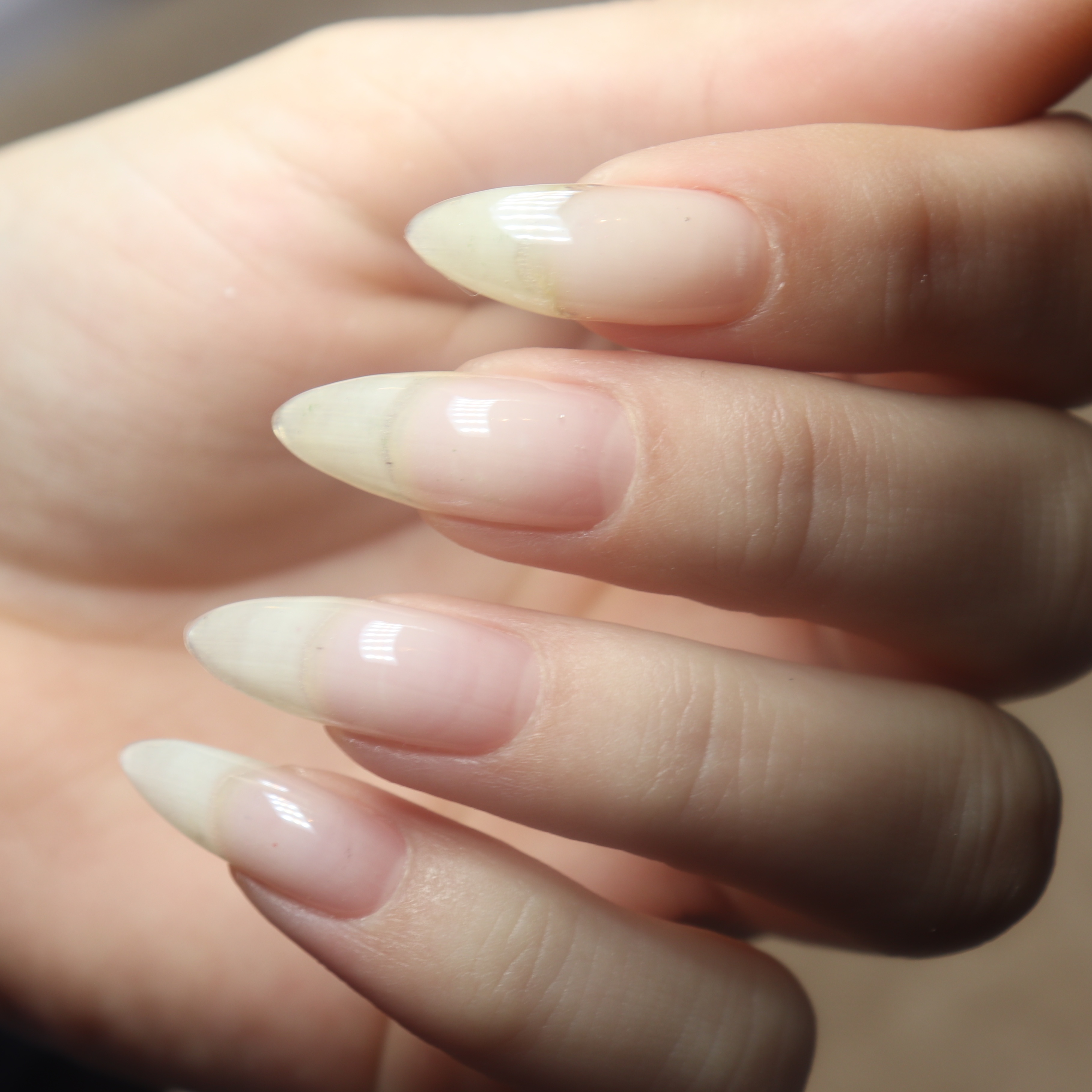 Luminary Manicure (Builder Gel) at Done Up Nail Bar in Littleton, CO