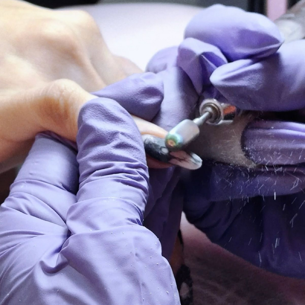 Nail Enhancement Removal at Lust Nails and Spa in Columbia, SC