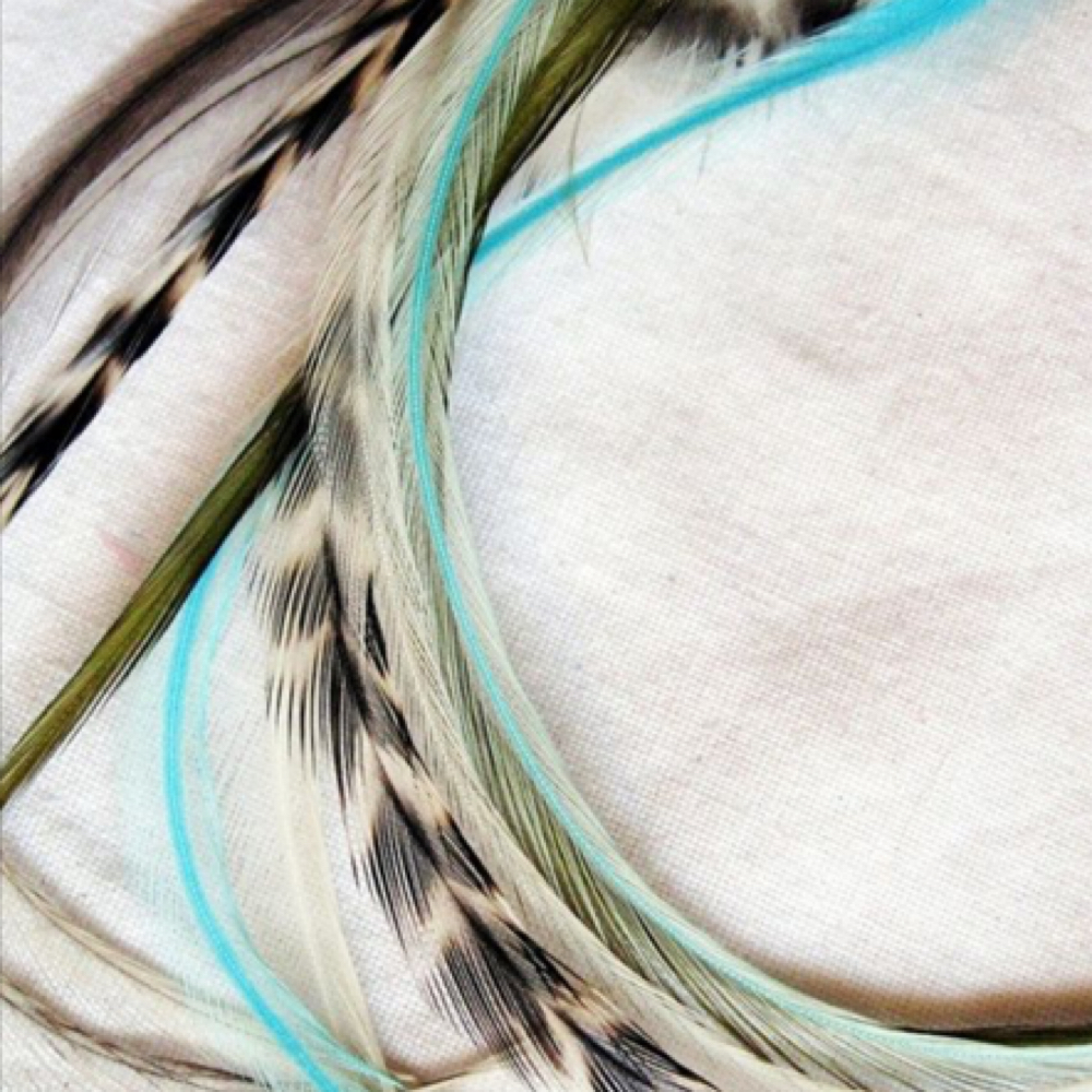 Hair Feathers at Lush Beauty Studio in Riverton, WY