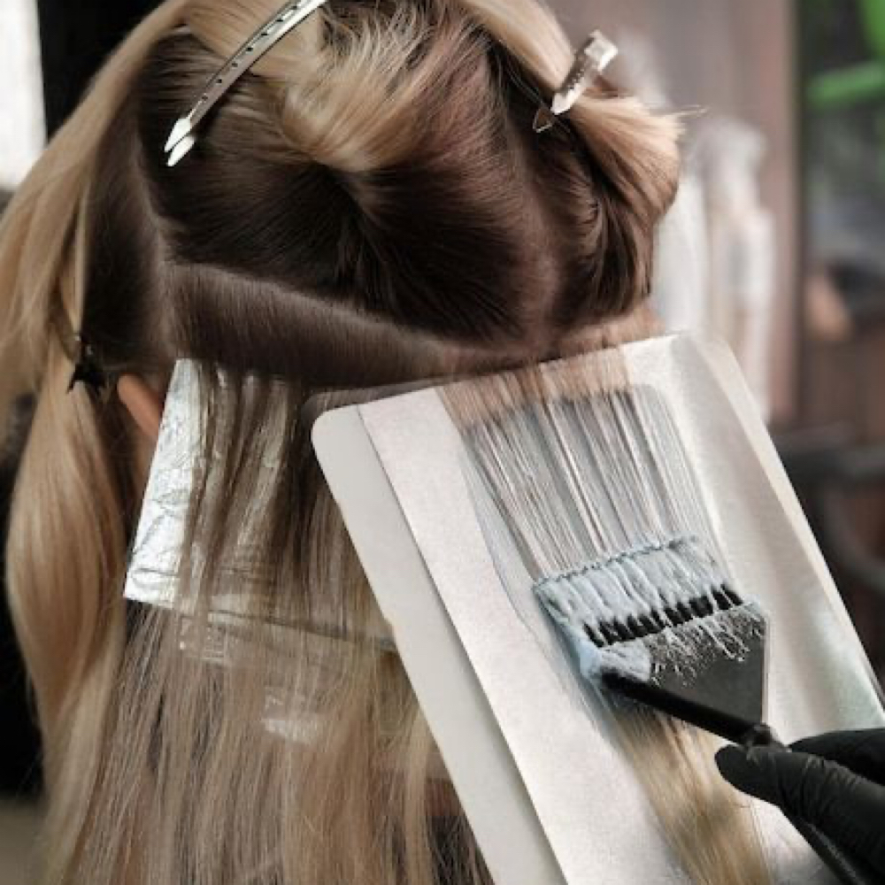 Highlights at La Bella Aura ✨ in Hudson, FL