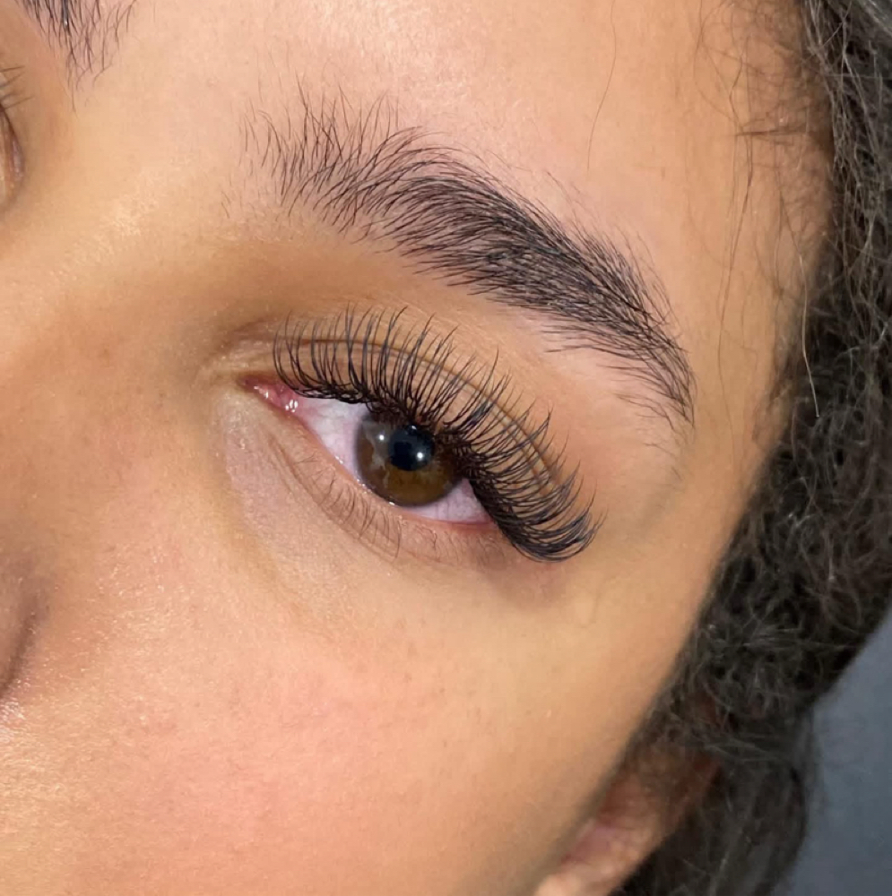 Fill In - Classic Lashes at ˚.⋆The Esthetic Apothecary⋆.˚ in Baxley, GA
