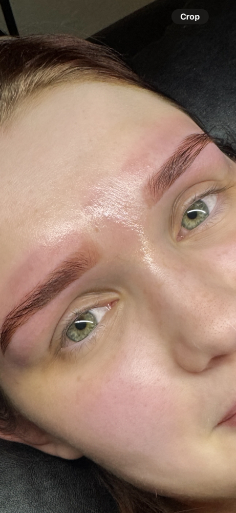 Brow Wax & Tint