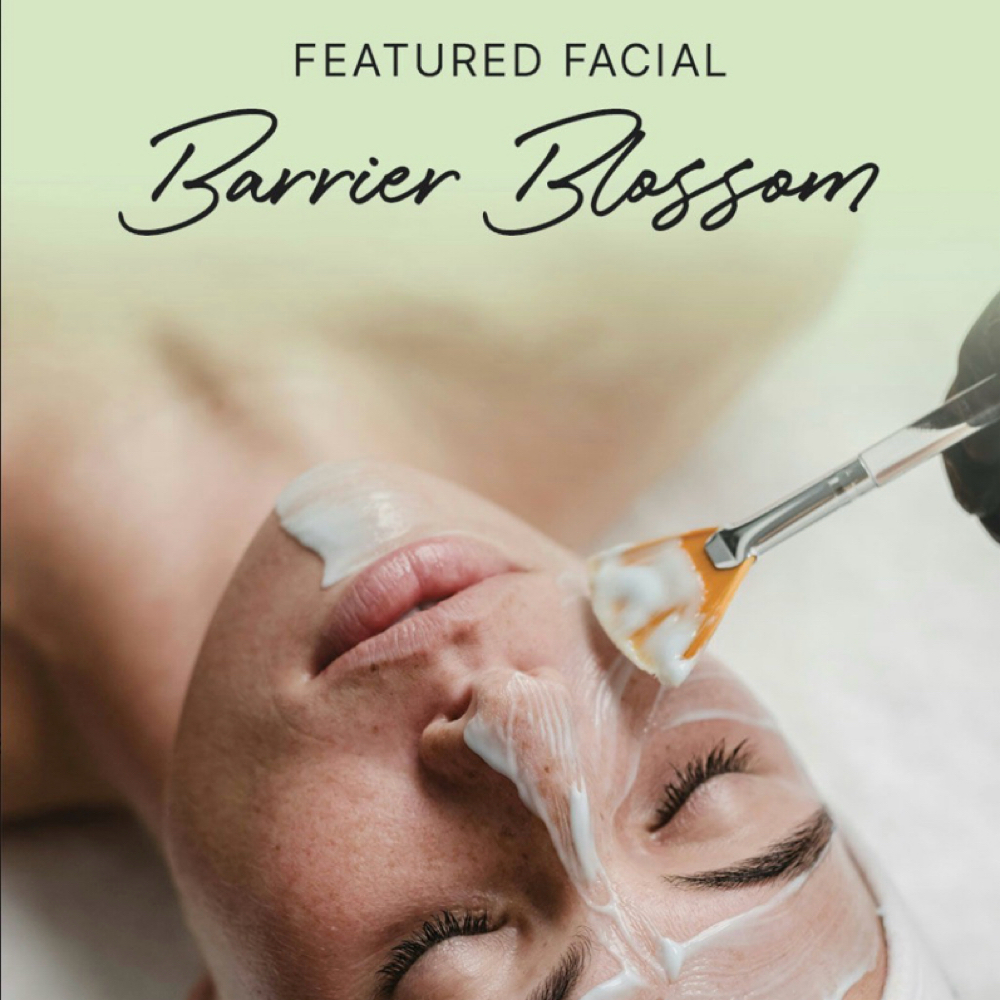 May Facial-Blossom Barrier at Saol Nua Spa in New Berlin, WI