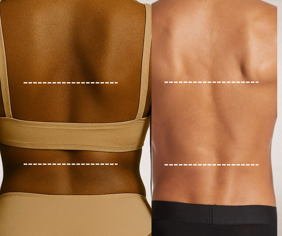Upper / Middle / Lower Back