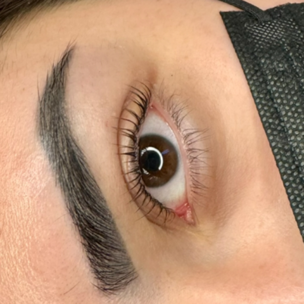 Lash Tint at LUXX Beauty & Body INC in Westerville, OH
