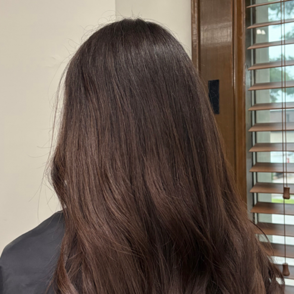 Root Touch-up at Ally Funk in Owensboro, KY