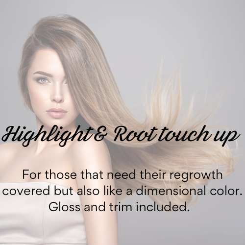 Root Touch Up And Highlights