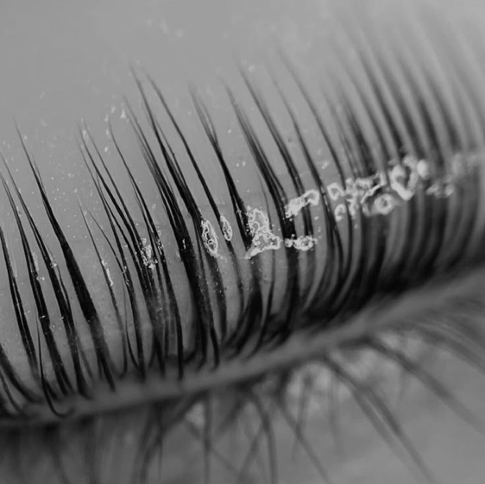 LASH LIFT at IVORY & INK STUDIO in Salmon, ID