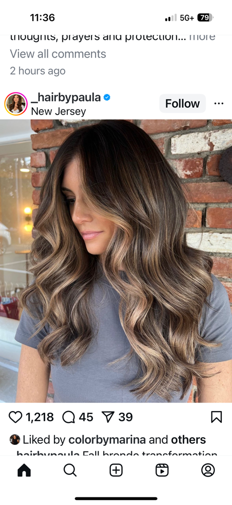 French Balayage and Haircut