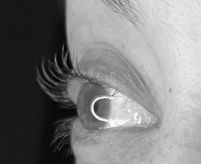 Lash Lift + Re Gen
