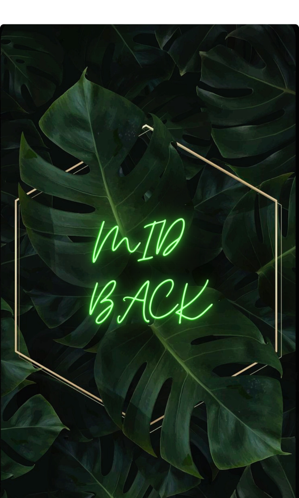 Mid Back
