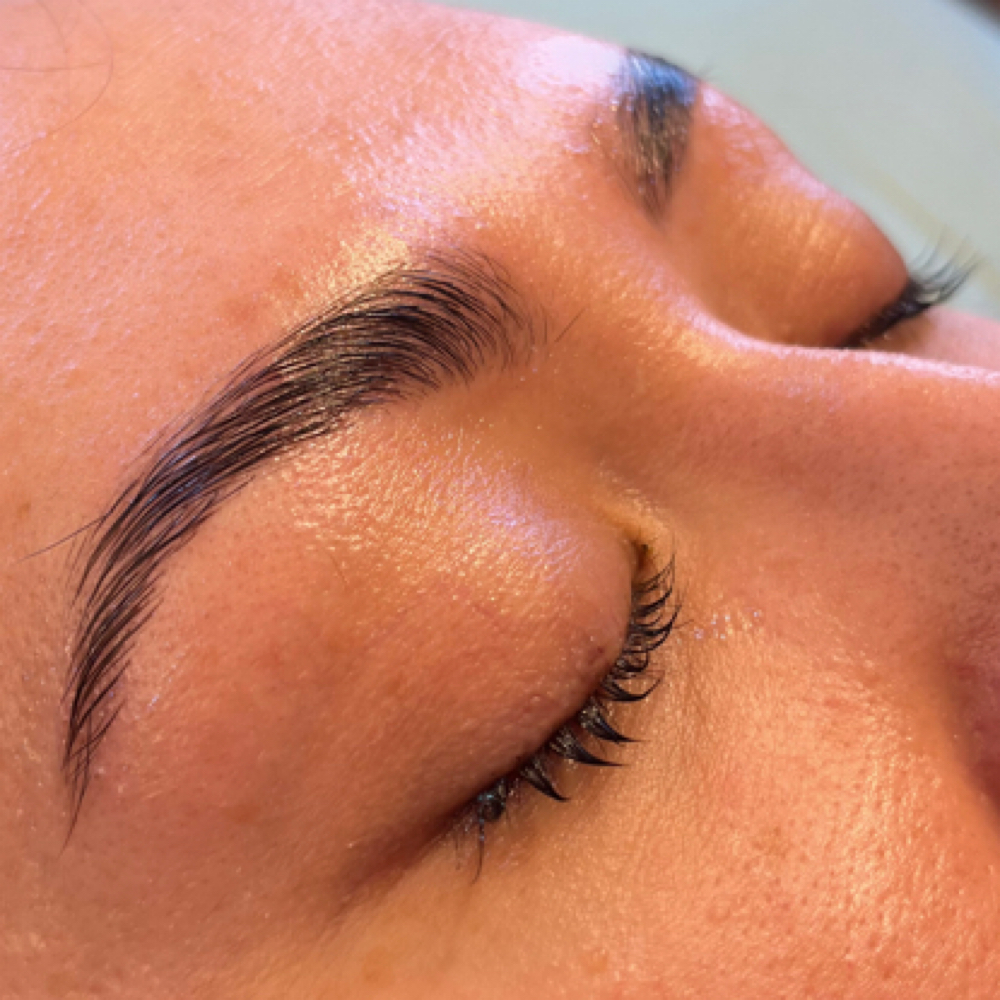 Brow Lami Model at Plum Esthetics in San Antonio, TX