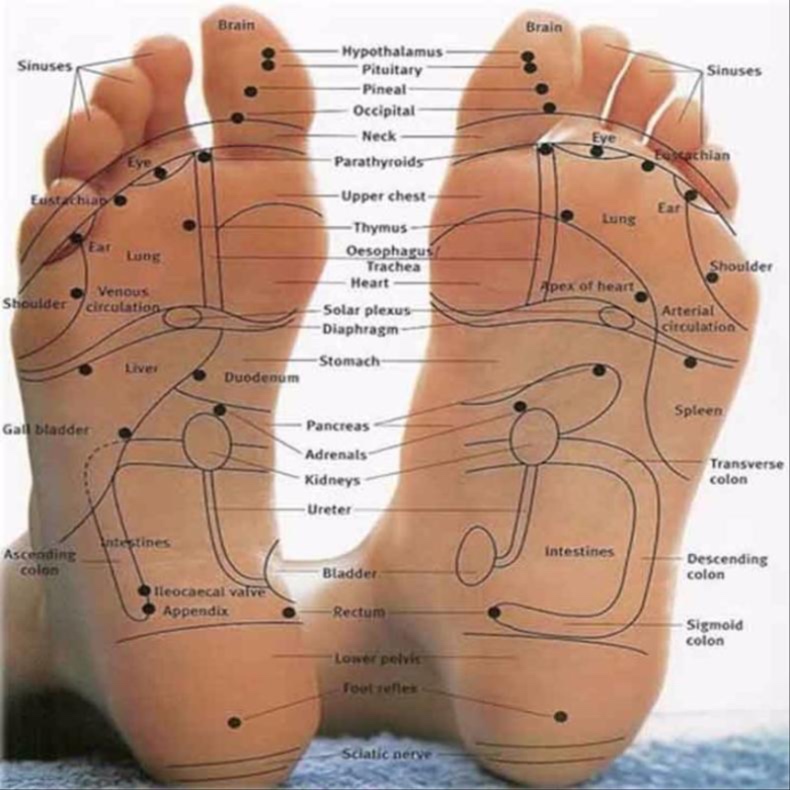 +Add On Automatic Foot Reflexology at Miranda Fields in Paoli, PA