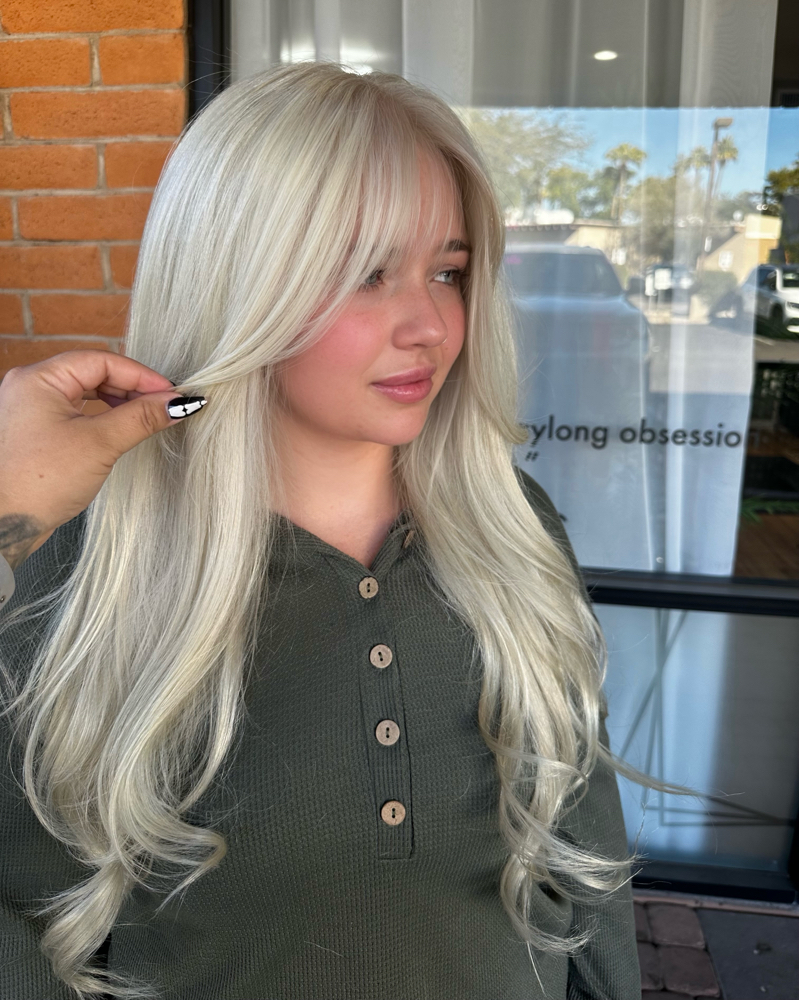Bleach + Tone (All Over) at Natasha Fimbres in Scottsdale, AZ
