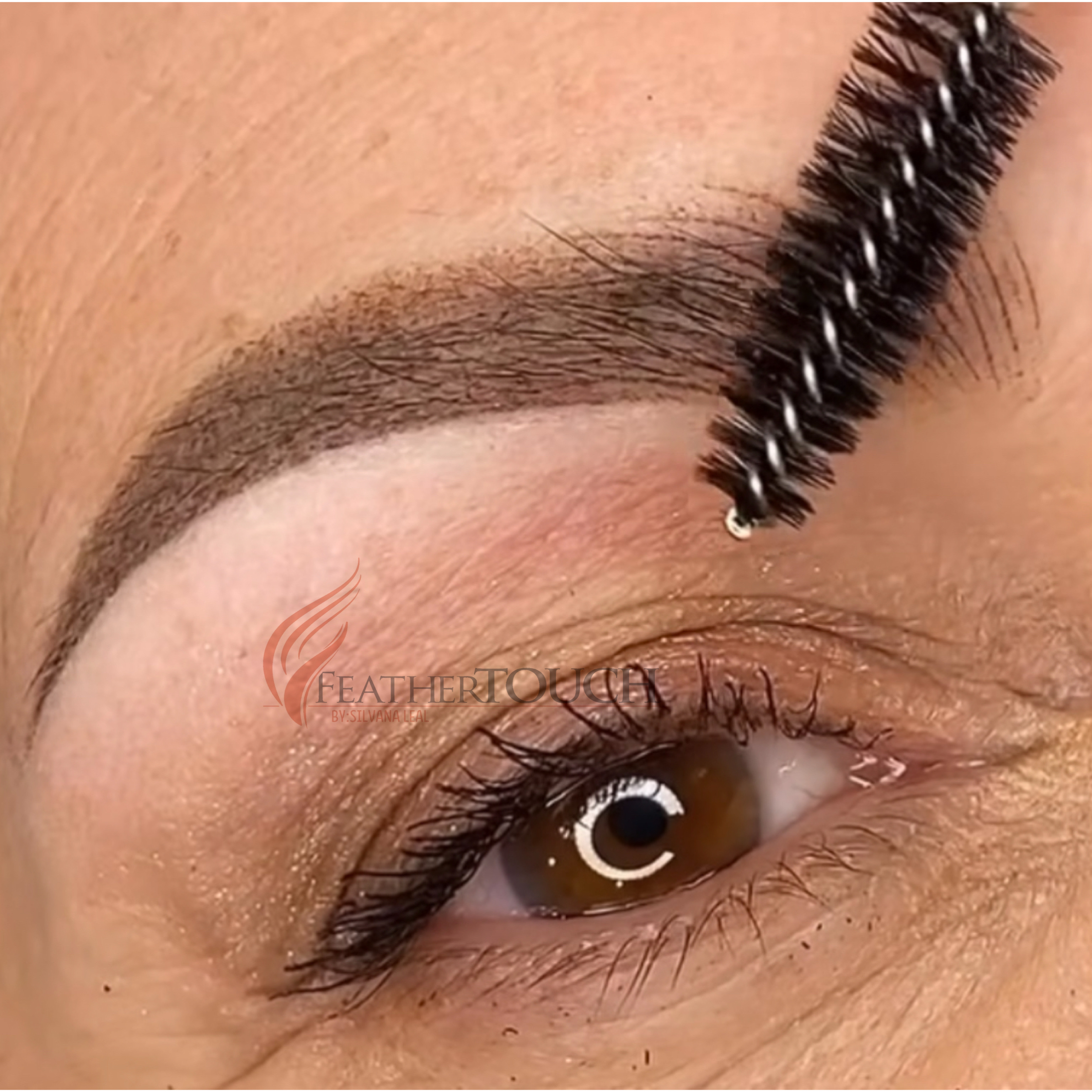 Combination Eyebrow.Touchupfree.