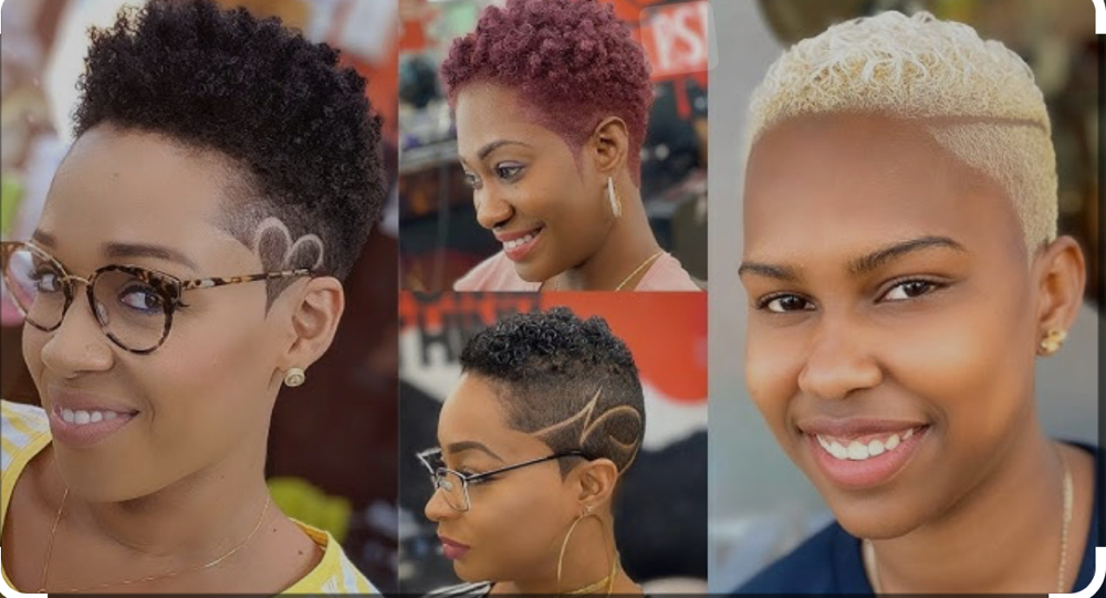 Color Service Low Boy Cut