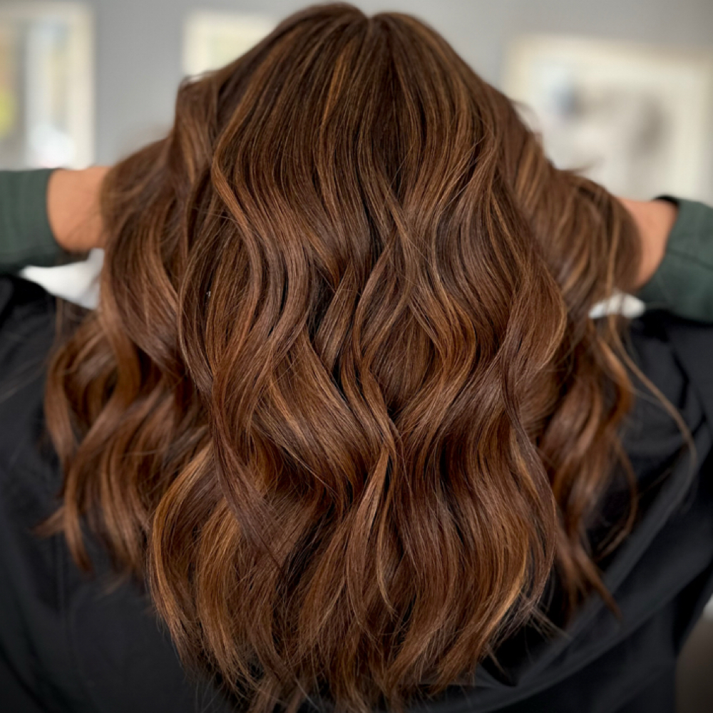 Luxe Dimensional Balayage + Haircu at ARIE HAIR&COLORIST in Alamo, CA