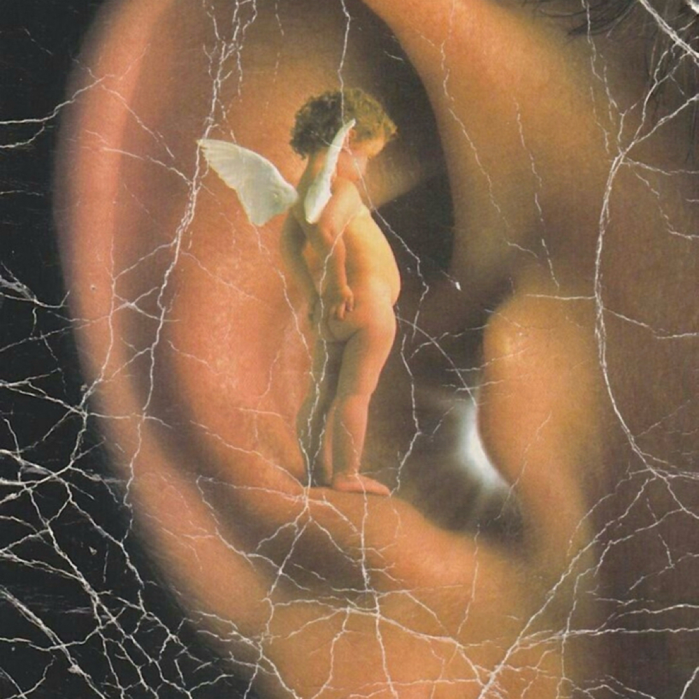 Ears at Bare Luminous Skin in El Cajon, CA