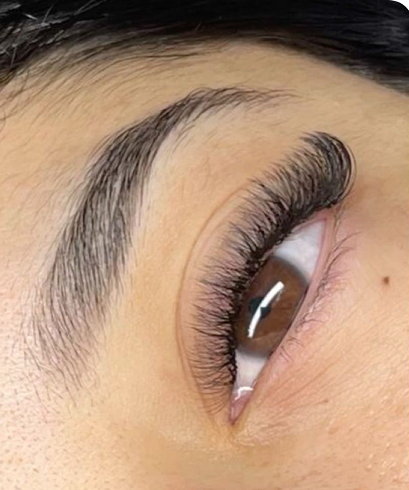 Light Volume Lashes With Layra