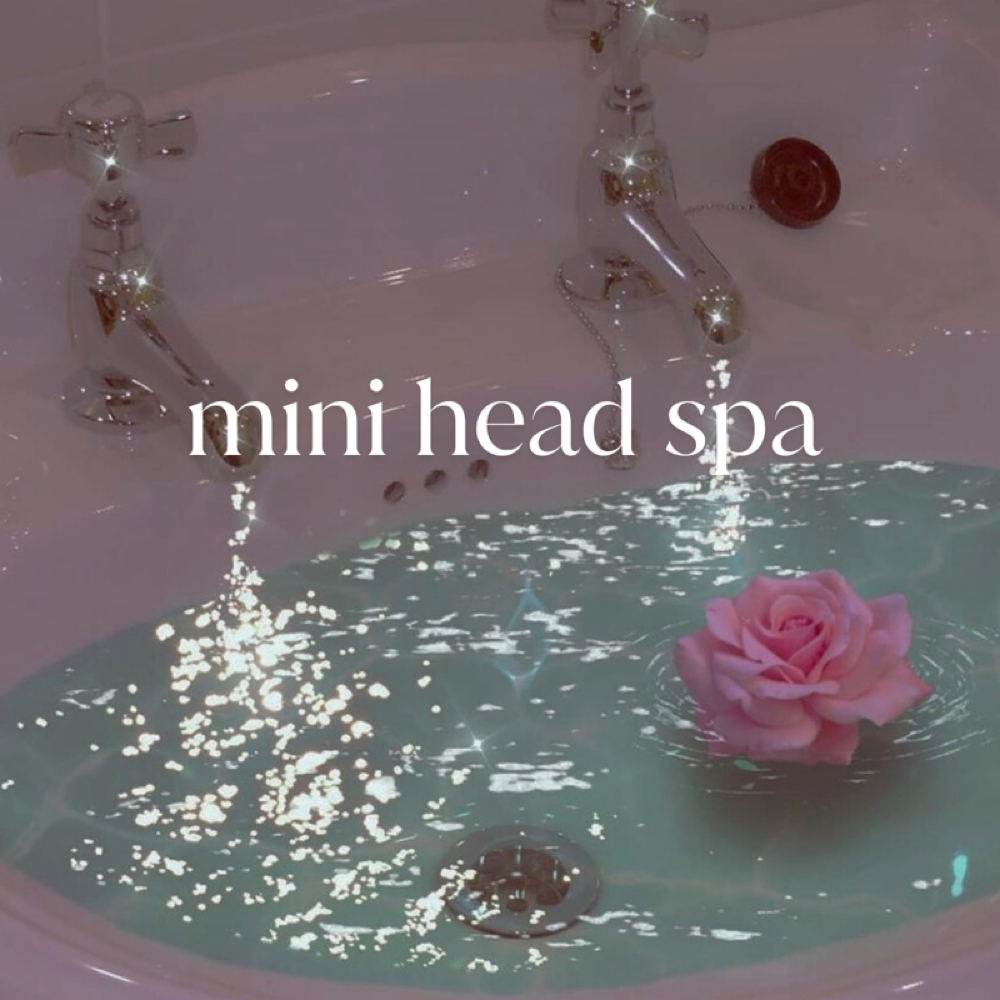 Head Spa Service 35 Minutes at Carita Aesthetics in Phoenix, AZ