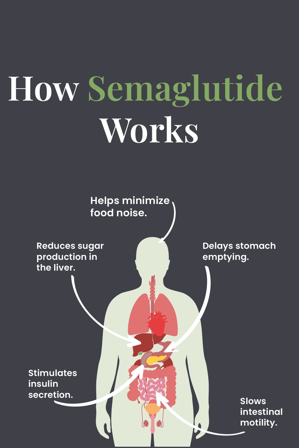 Semaglutide + B6