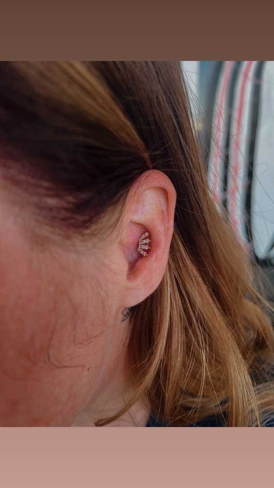 Conch Piercing