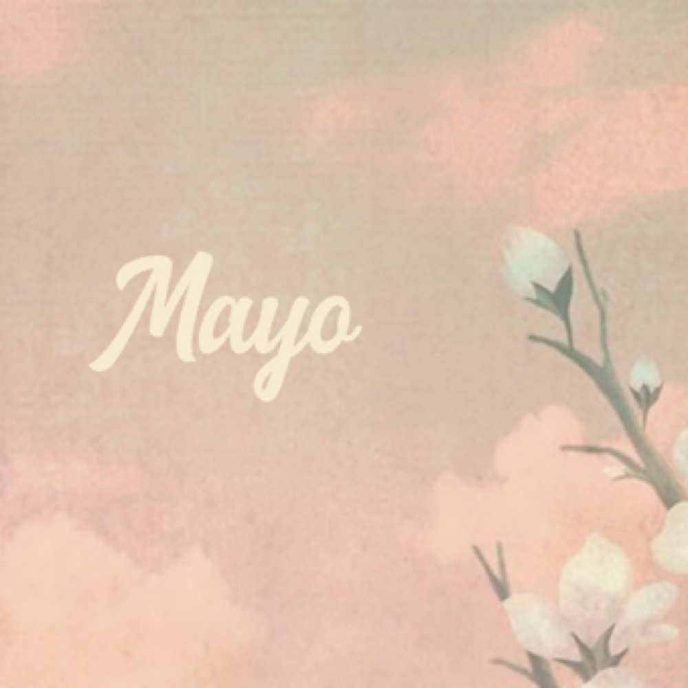 Especiales De Mayo ✨ at Mj glam Studio in Fort Worth, TX