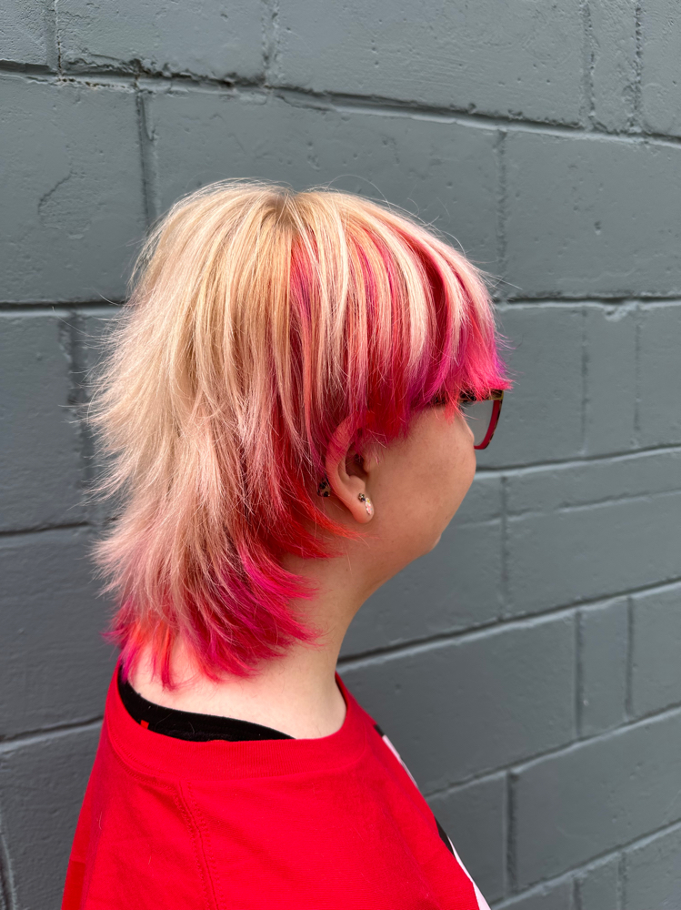 Fashion Color at Ash & Thorn Hair Studio in Grass Lake, MI