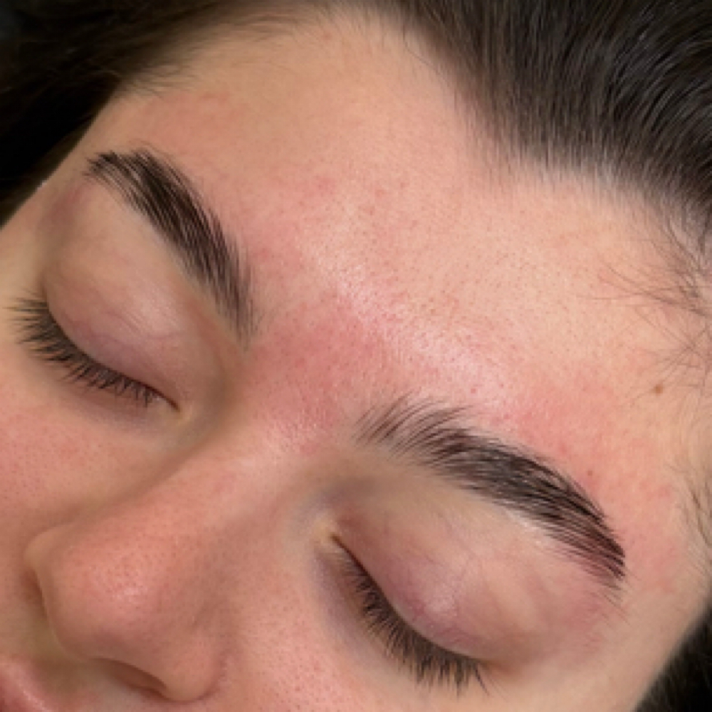 Eyebrow Tint And Shaping at THE BEAUTY LAND in Norwood, MA