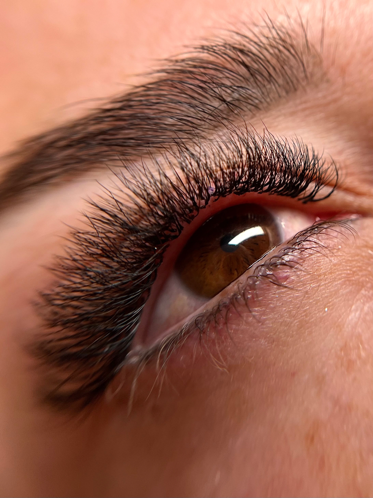 Brazilian Volume Lashes Full Set