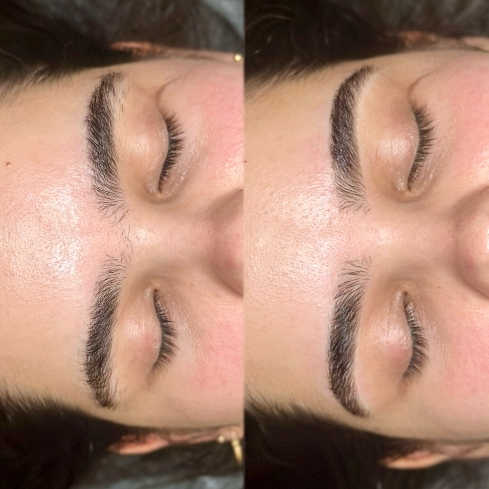 Brow Wax & Shaping at The Aesthetic Artisan in Palm Beach Gardens, FL