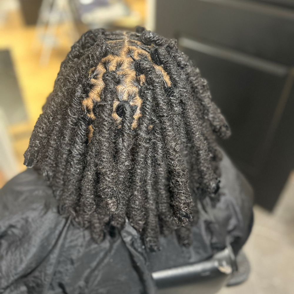 Pipecleaner/loc Curls & Retwist at BeautyTurnsHeads in Portsmouth, VA