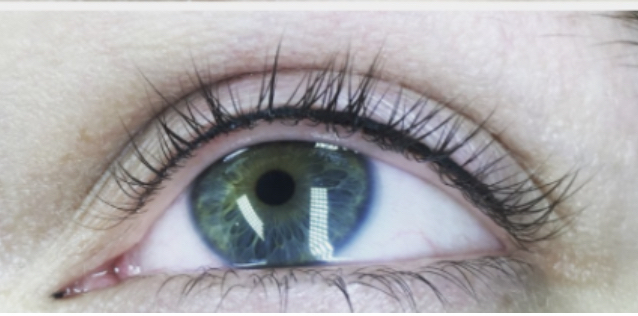 Eyelash Enhancement 6-8 Wk Touchup