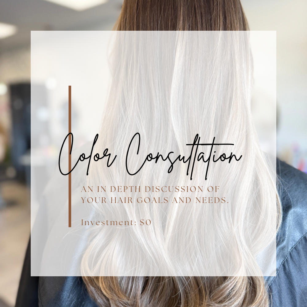 Color Consultation at Alyson  Stulz in Pattonsburg, MO