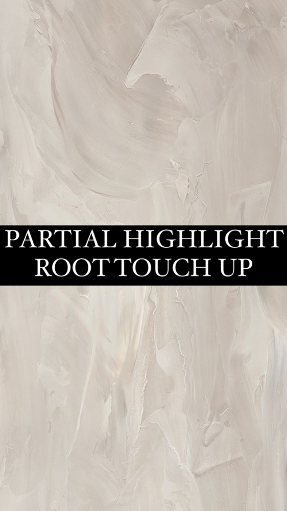 PARTIAL HIGHLIGHT/ROOT TOUCH UP