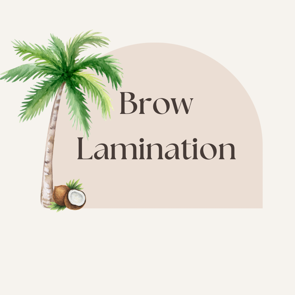 Brow Lamination-model Only