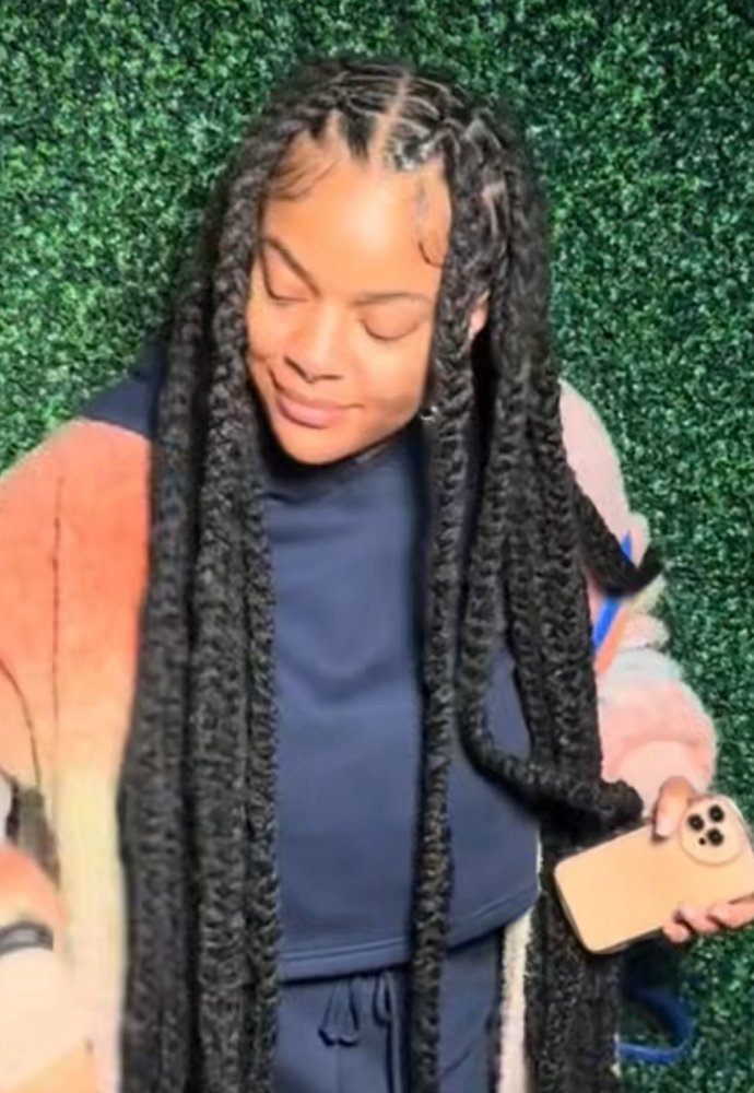 Plaits/twist Over Locs