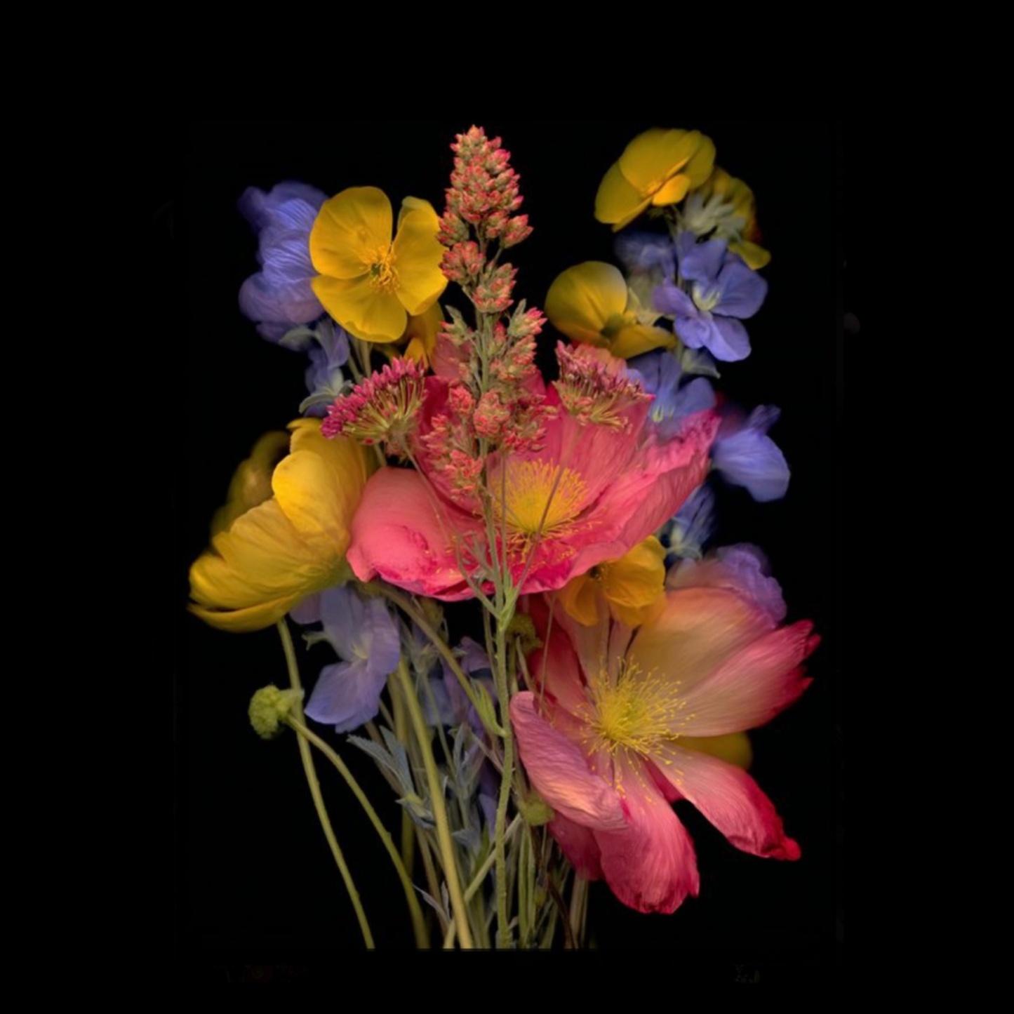 Luxe Shine Bundle at JR Hair Co. in Lincoln, NE