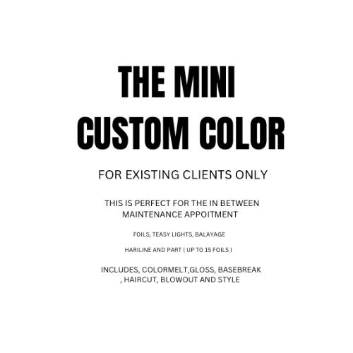 The Mini Custom Color And Finish