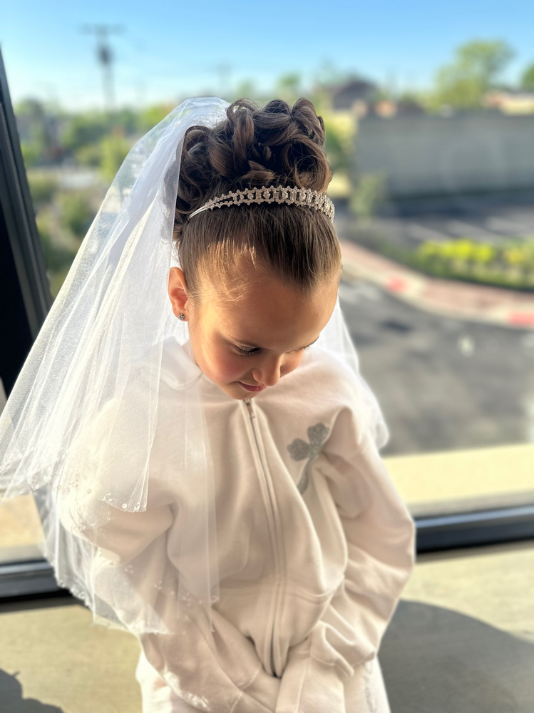 Formal Updo