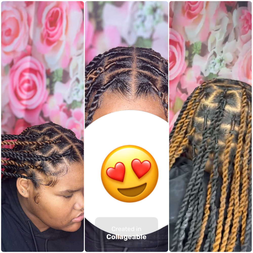 🦋Large Passion Twist