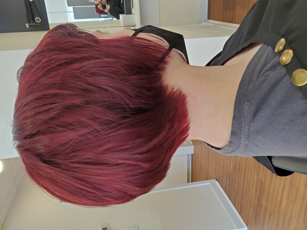 Single process color, cut & blowdry