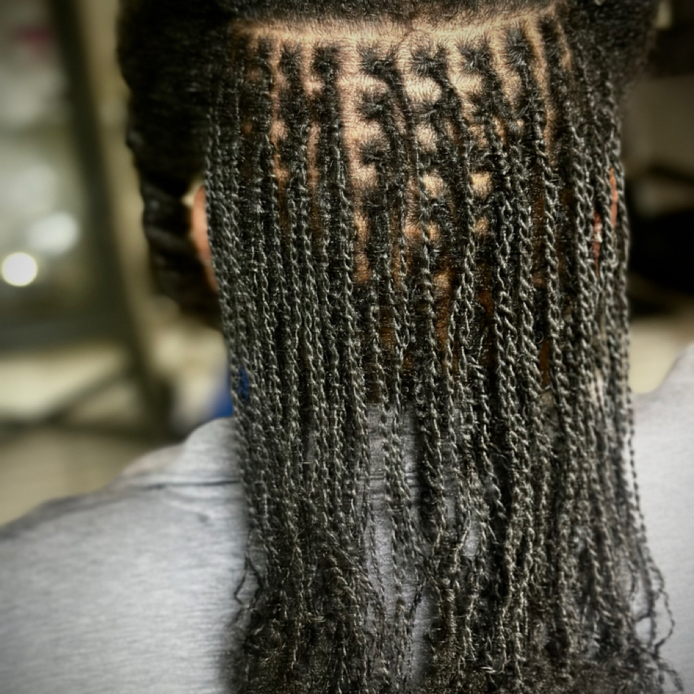 Senegalese Interlocks (NEW) at The LocD Journey LLC. in Palm Coast, FL
