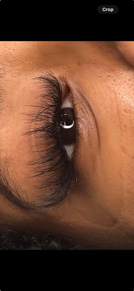Lash Clusters