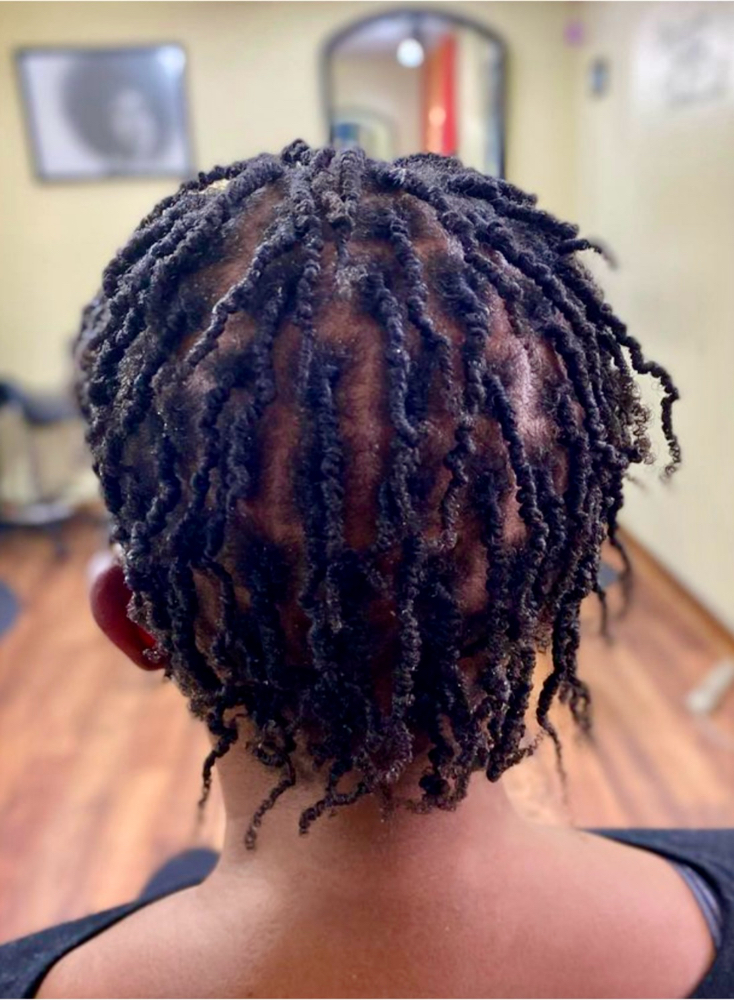 Loc Start (2 Strands)