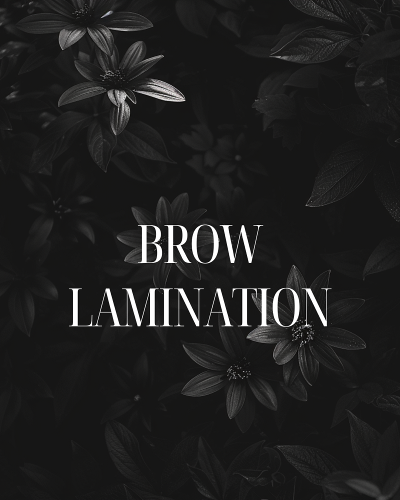 Brow Lamination