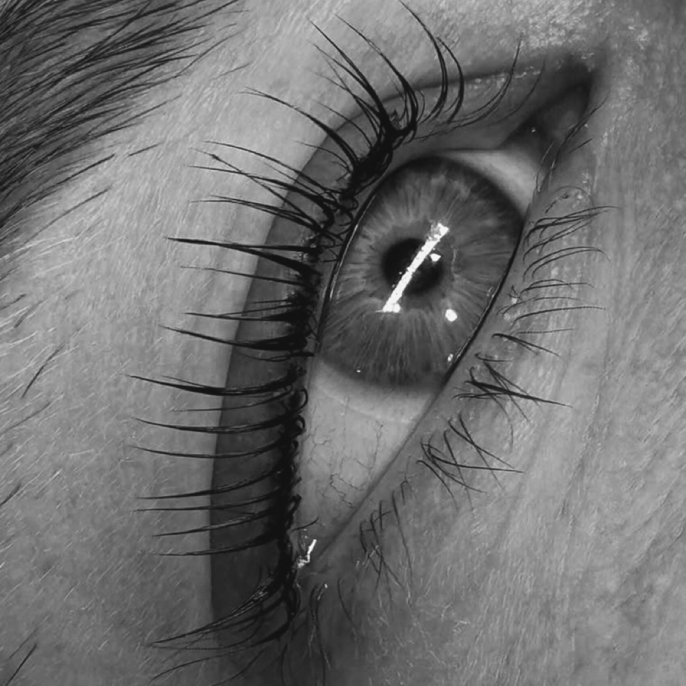 Lash Lift and Tint at Esthetics by Elizabeth in Tallahassee, FL