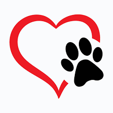 Adopted Pet From Shelter Nail Trim